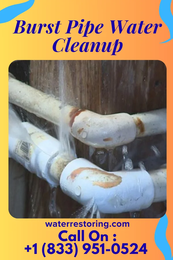 Burst Pipe Water Cleanup in West Branch, IA